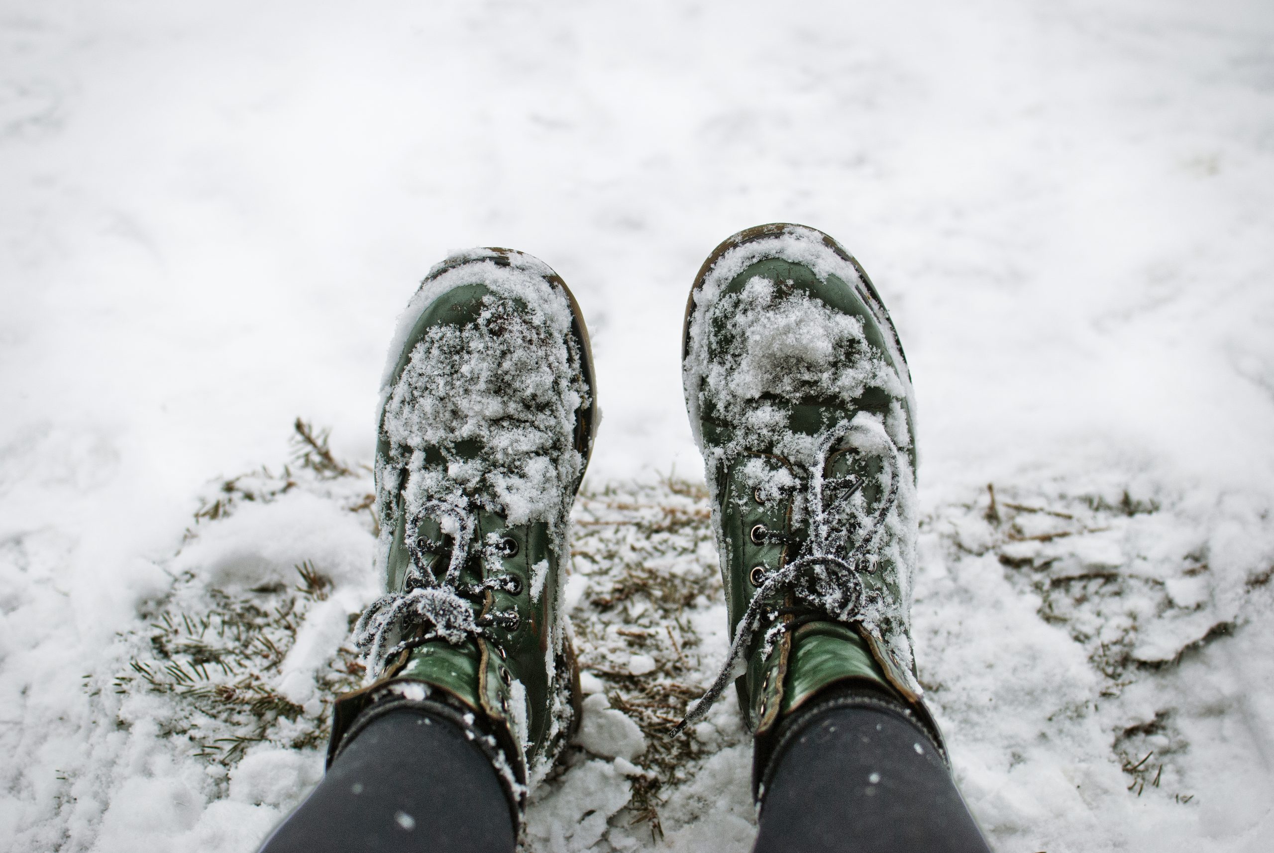 grona pjuck istock 1271700319 scaled 1